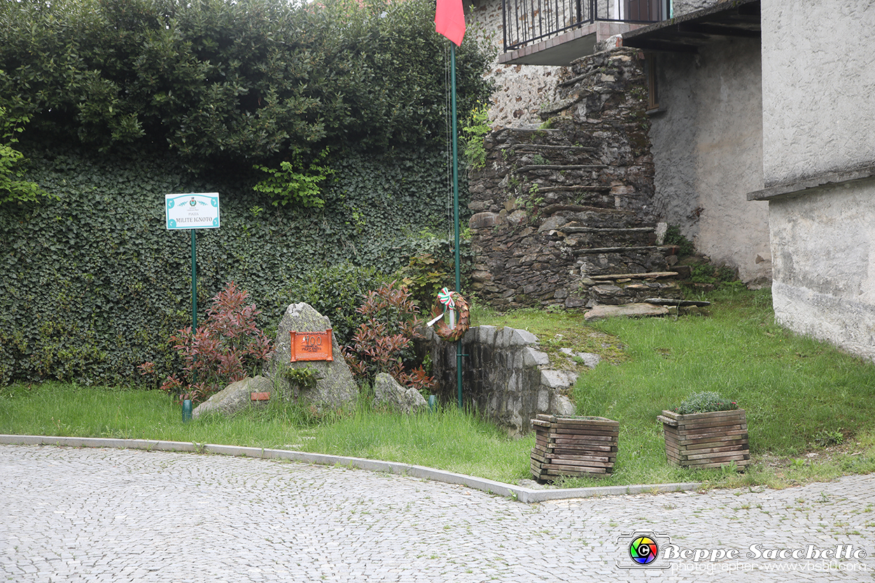 VBS_1248 - Fioritura narcisi a Castelnuovo Nigra 2023.jpg